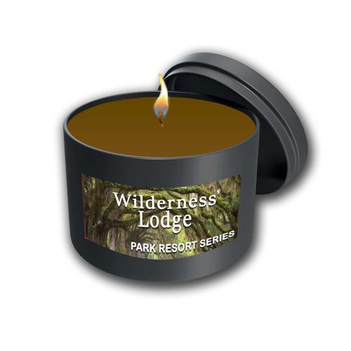 Wilderness Lodge - Park Resort Series